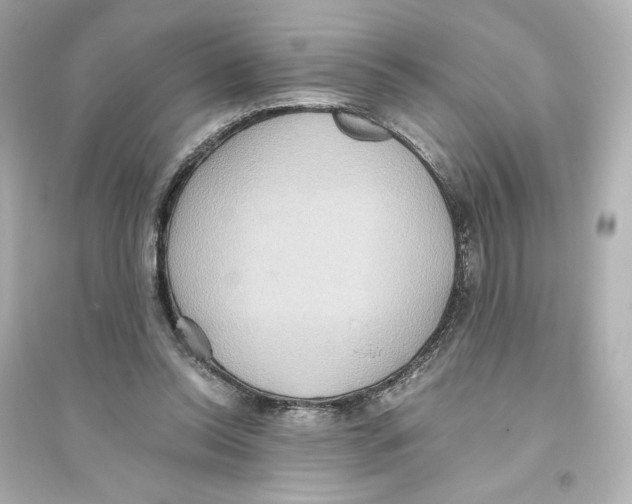 X0000093610350200711121217