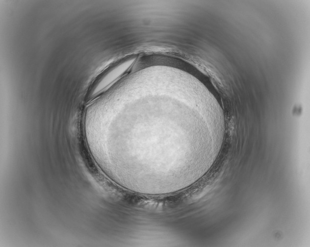 X0000093610352200711121217