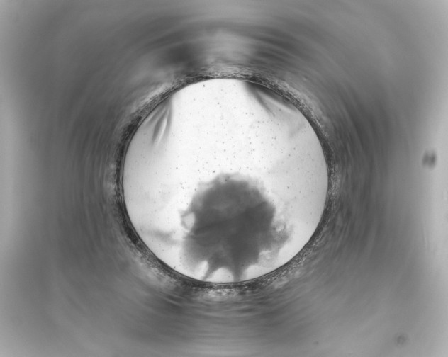 X0000093610353200711121217