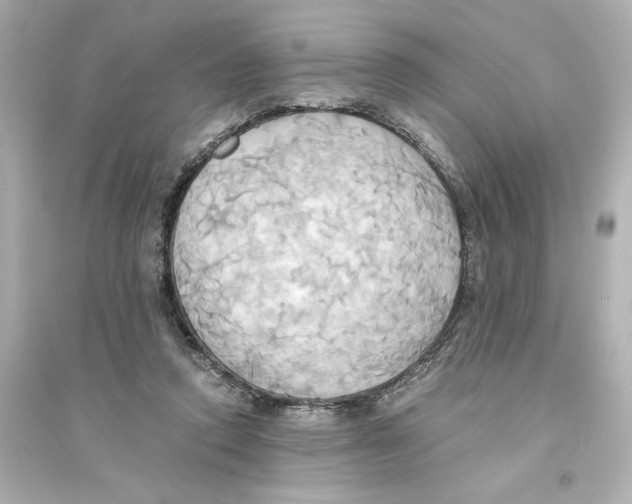 X0000093610354200711121217