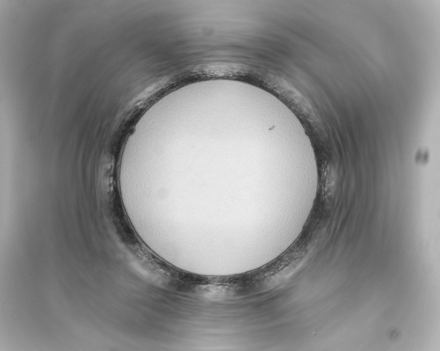 X0000093610356200711121217