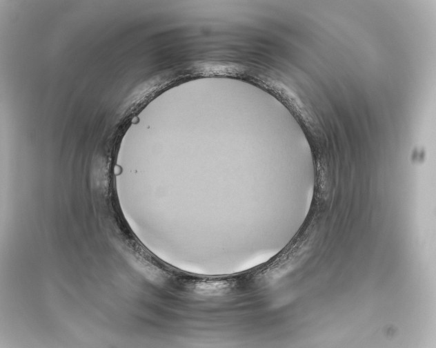 X0000093610357200711121217