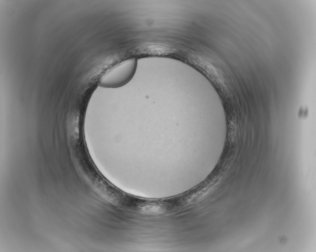 X0000093610358200711121217
