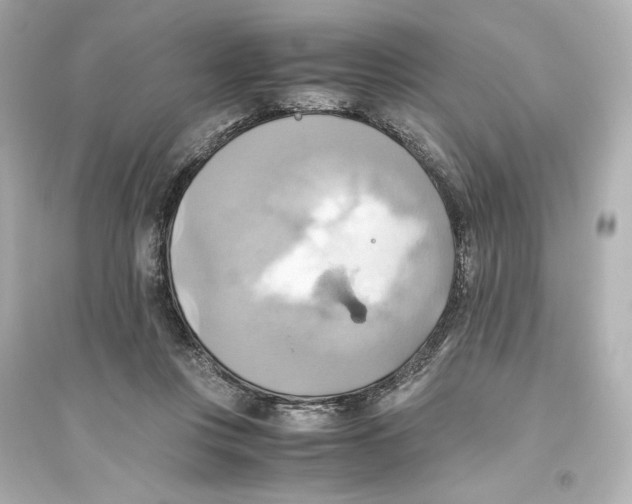 X0000093610359200711121217