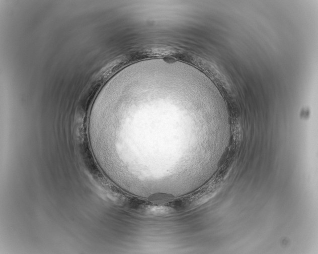 X0000093610360200711121217