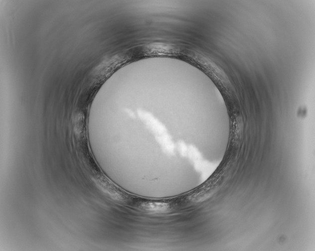 X0000093610361200711121217