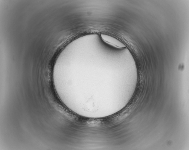 X0000093610362200711121217