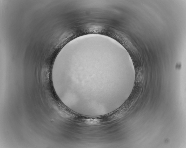 X0000093610363200711121217