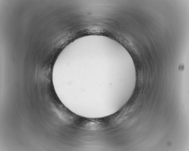 X0000093610364200711121217