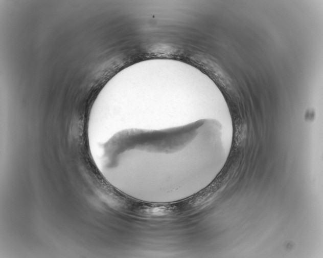 X0000093610365200711121217