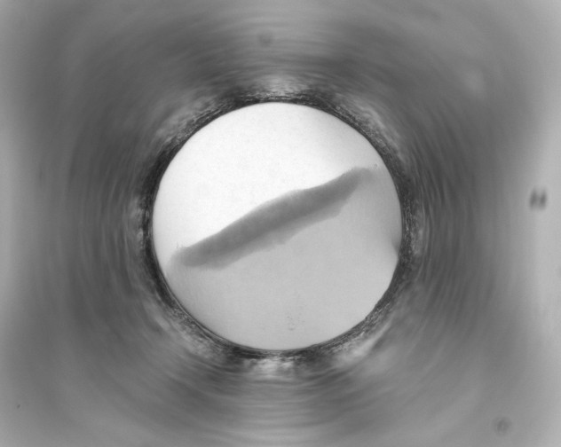 X0000093610366200711121217