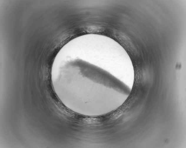 X0000093610367200711121217