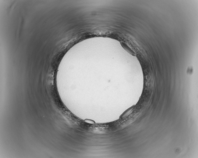 X0000093610368200711121217