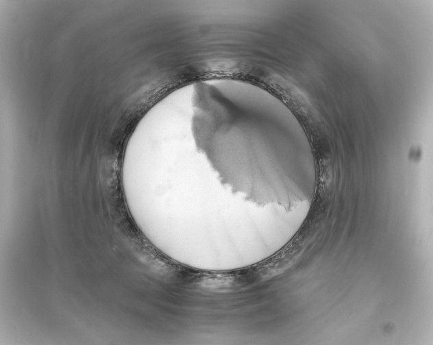 X0000093610369200711121217