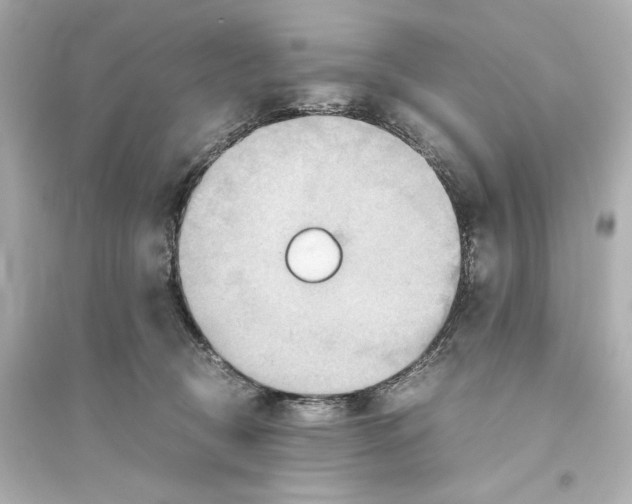 X0000093610370200711121217