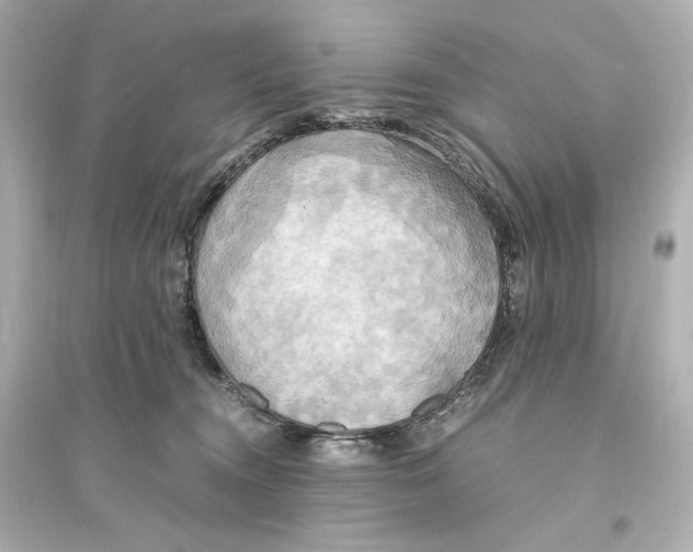 X0000093610372200711121218