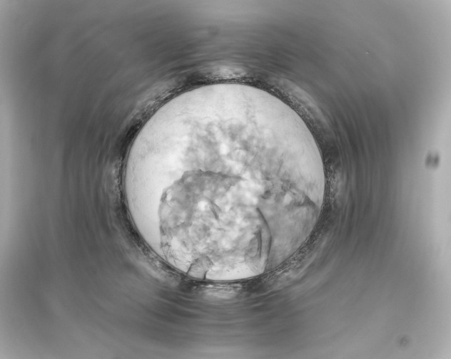 X0000093610373200711121218