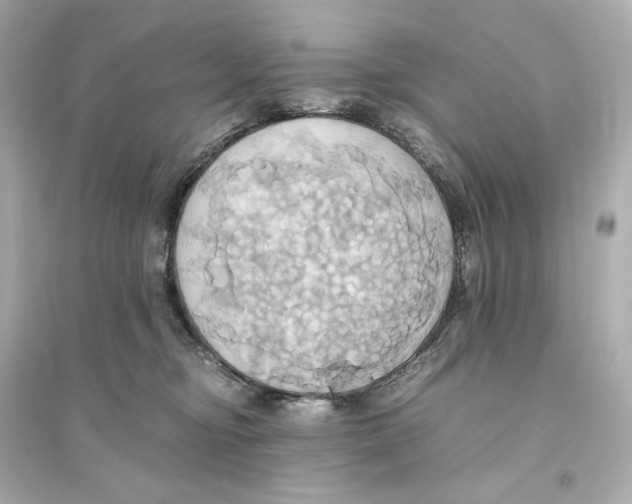X0000093610374200711121218