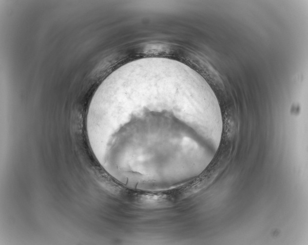 X0000093610375200711121218