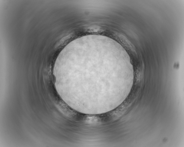 X0000093610376200711121218