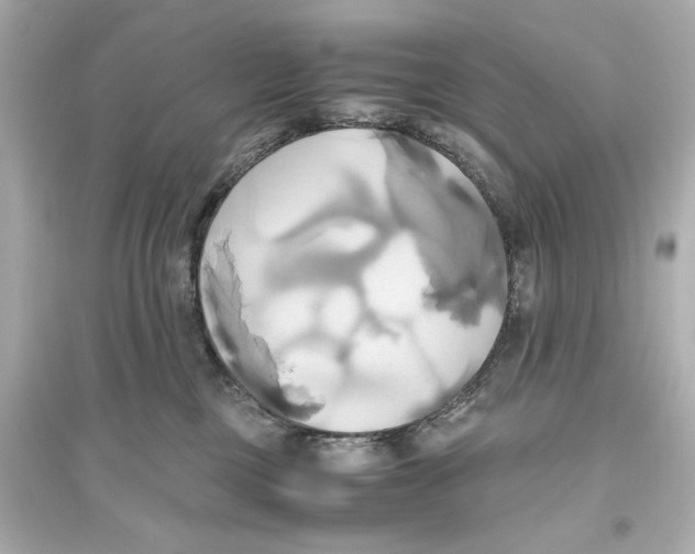 X0000093610377200711121218