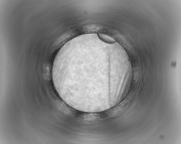 X0000093610378200711121218