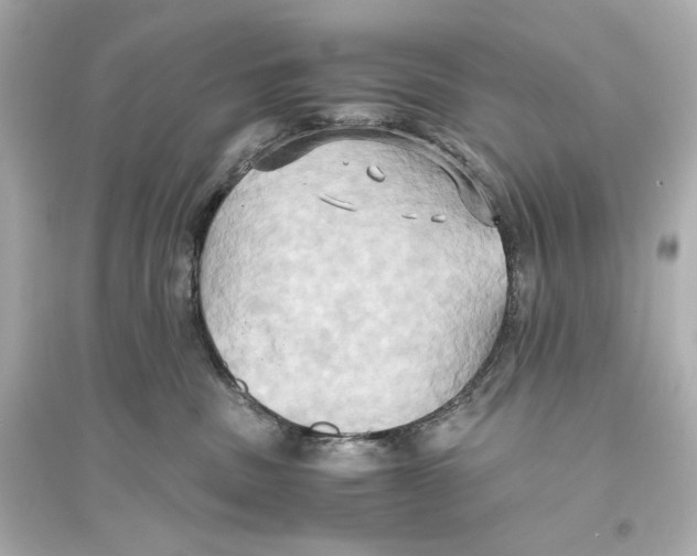 X0000093610379200711121218