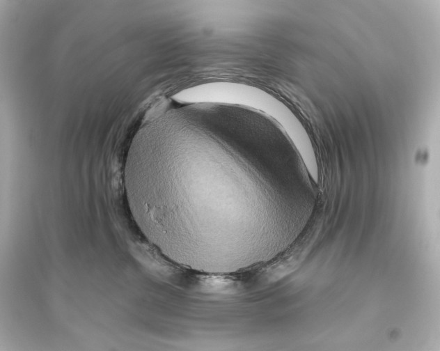 X0000093610380200711121218