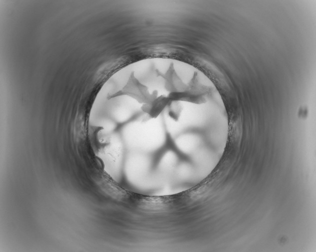 X0000093610381200711121218