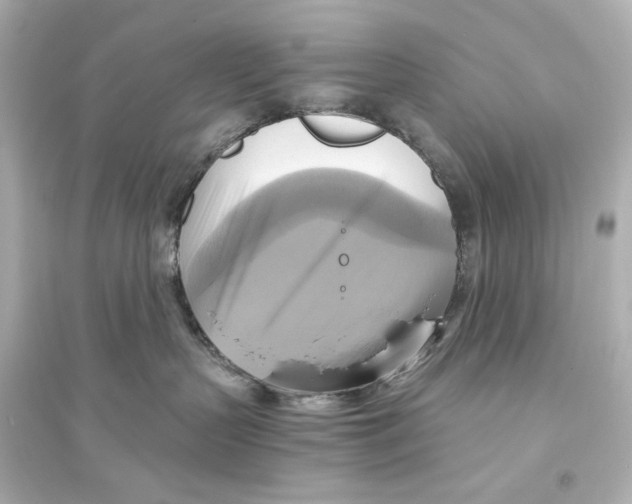 X0000093610383200711121218