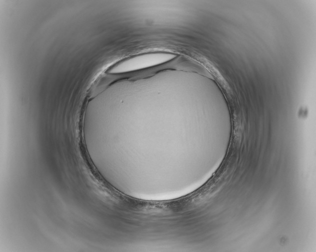 X0000093610386200711121217