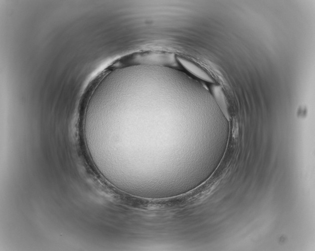 X0000093610388200711121217