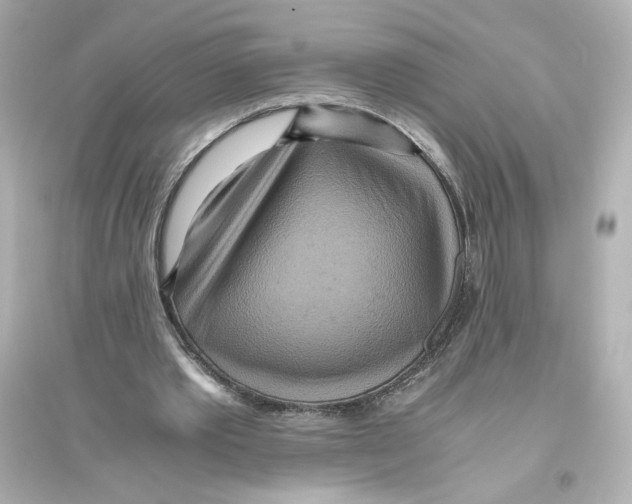 X0000093610389200711121217