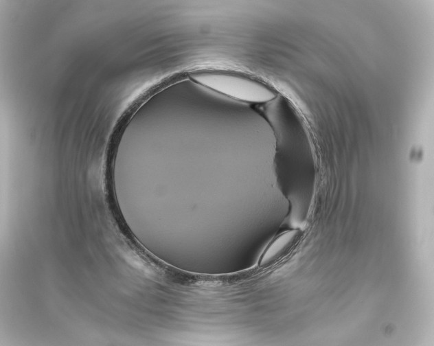 X0000093610391200711121217
