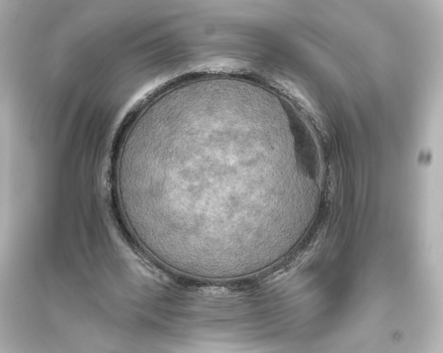 X0000093610392200711121217