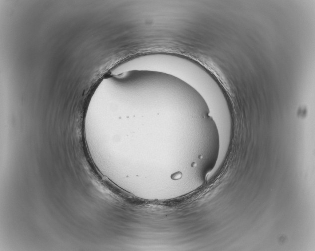 X0000093610393200711121217