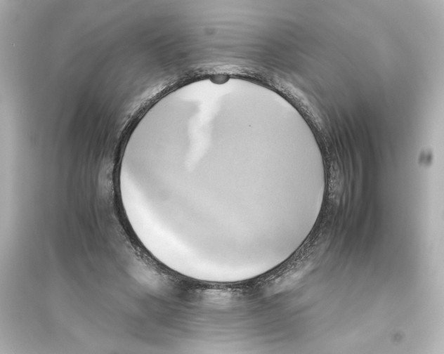 X0000093610394200711121217
