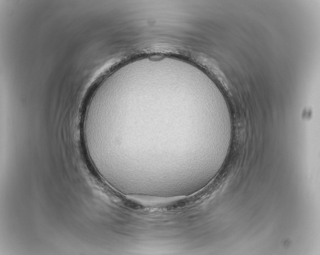 X0000093610395200711121217