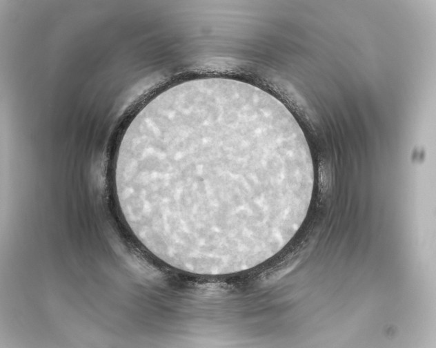 X0000093610396200711121217