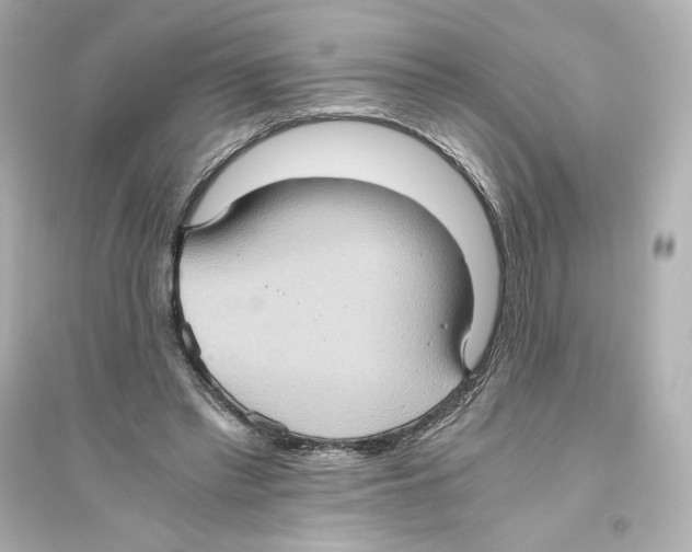 X0000093610397200711121217
