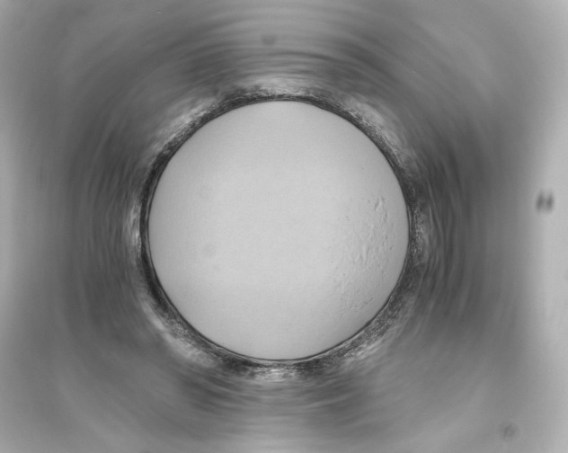 X0000093610398200711121217