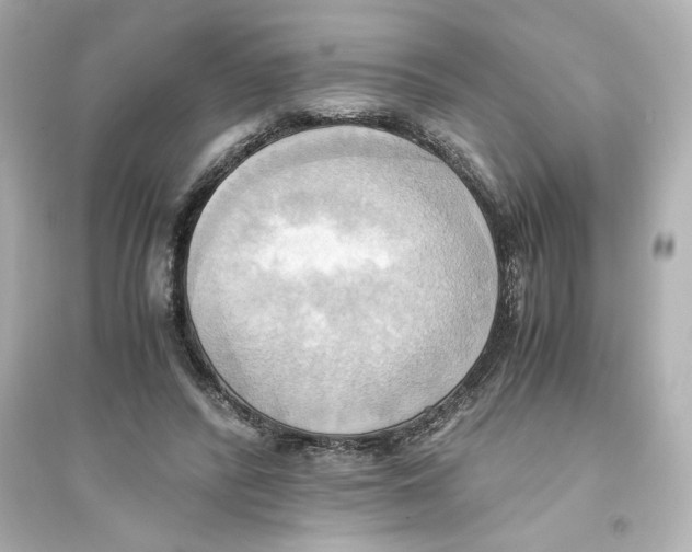 X0000093610400200711121217