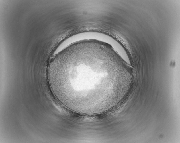 X0000093610401200711121217