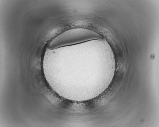 X0000093610403200711121217