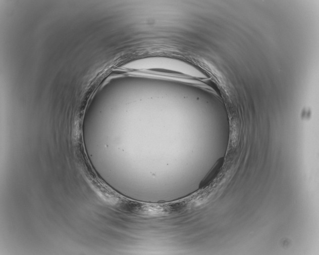 X0000093610405200711121217
