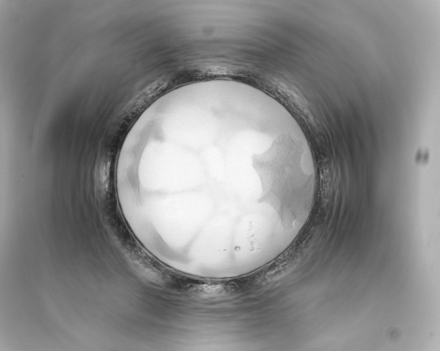X0000093610406200711121217