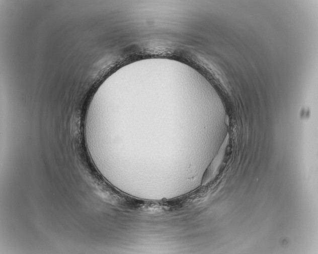 X0000093610407200711121217
