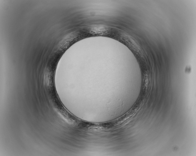 X0000093610408200711121217