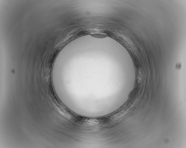 X0000093610409200711121217