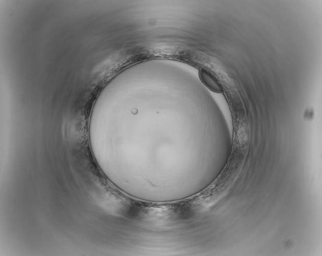 X0000093610411200711121217